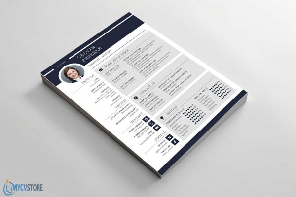 Professional CV MS Word Template