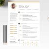 Web Designer Resume Template