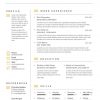 Professional Resume Template