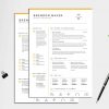 Professional Resume Template