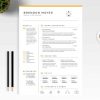 Professional Resume Template