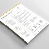Professional Resume Template