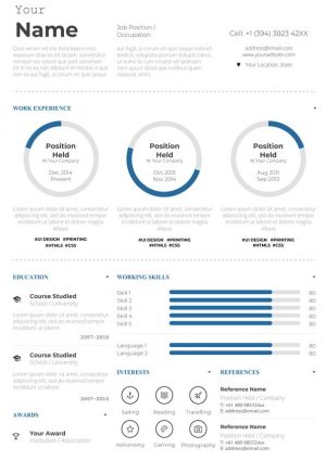Infographic Style Resume Template