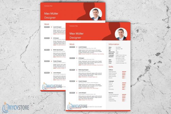Financial Manager Resume Template
