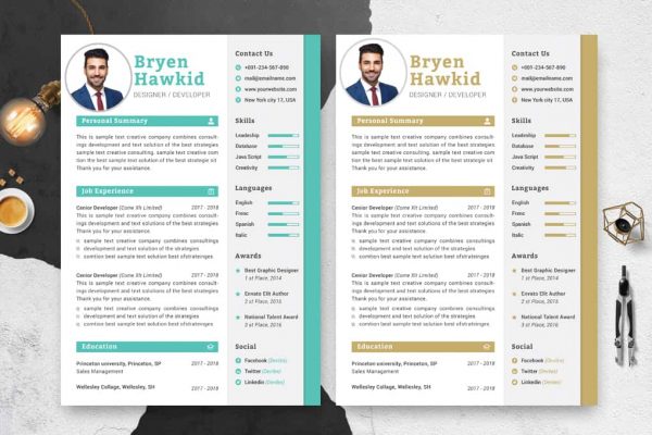 Design Manager CV
