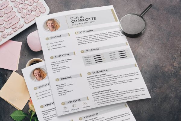 Resume Infographic Design